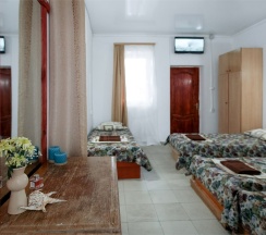 Стандартный 4х местный номер 3 этаж в Green oasis Vavilon
