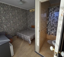 Номер стандарт с 1 двуспальной кроватью в Диана