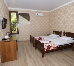 Двухместный номер Standard с балконом двуспальная кровать в Панорама