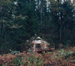 Лесная поляна в Котопельто