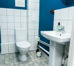 Стандарт двухместный с 2 кроватями в Why not Hostel Novosibirsk