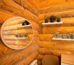 Шале  Семейный VIP-номер  в Земские имения