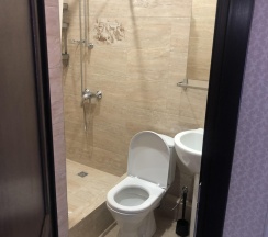 Апартаменты улучшенные с кухней и балконом в Кристина