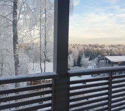 GREY HOUSE Локация КП "ЧЕРНИЧНОЕ" в Черничный склон