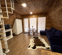 Дом 4 в Ёлки house