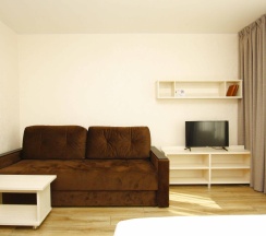 1-комнатные апартаменты стандарт с 1 двуспальной кроватью в Альт отель апартаменты