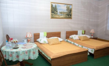 Номер комфорт с 2 односпальными кроватями в Цна
