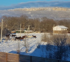 2х мест 2 этаж СТАНДАРТ вид на УНАКОЗ в Вершина