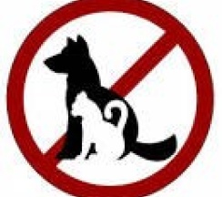 Двухместный стандарт : двухспальная кровать  (в корпусе №1) в Лесное поместье