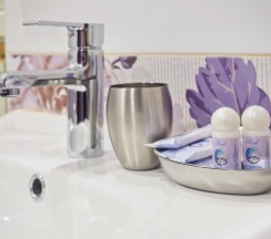 Номер стандарт с 2 односпальными кроватями в Дилижанс