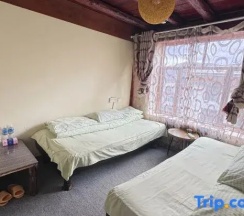Номер Standard в Up In The Air Youth Hostel