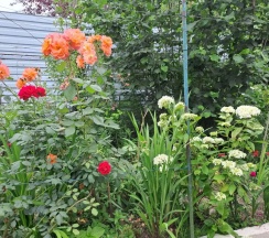 Номер Economy в Уют