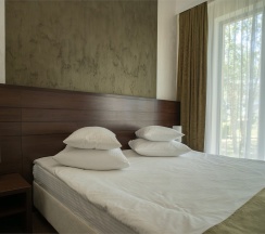 Делюкс премиум в Аристократ