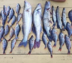 Коттедж "Топаз" для 6 человек в Глухарь