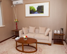 Полулюкс в SoLuxe Hotel Almaty