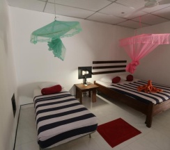 Двухместный номер Standard двуспальная кровать в Eco Hotel Black & White - Anuradhapura