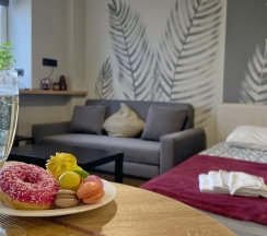 1-комнатный номер эконом в Dream Apartmens