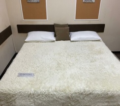 Двухкомнатный Люкс в Рики