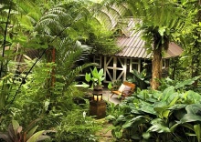 Люкс с 2 комнатами в Rain Forest Resort