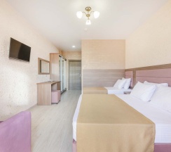 3-х местный номер делюкс без балкона в Viva Victoria