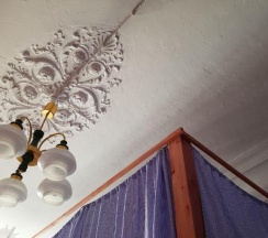 Pups Room в Polosaty space