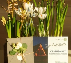 Подарочный сертификат в Casa Ruza