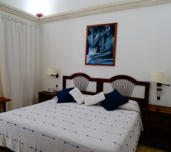 Двухместный номер Standard двуспальная кровать в Hotel Aitana Oaxaca