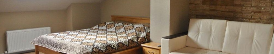 Номер стандарт бизнес (мансарда) в Maxim