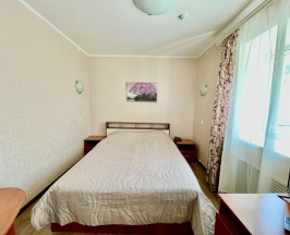 Номер люкс с 1 двуспальной кроватью в Pit-stop