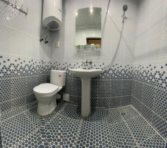 2-местный 1-комнатный номер люкс улучшенный в Ника