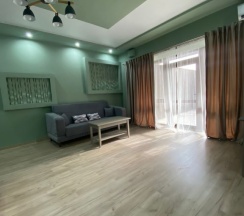 Апартаменты Deluxe в Green Park