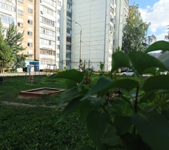 Апартаменты c 1 комнатой в Квартира у озера