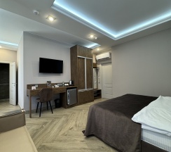 ПОЛУЛЮКС. в VS Hotel