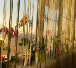 Двухместный номер с 2 односпальными кроватями в Аист