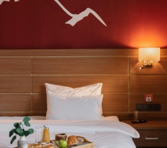 2-местный номер стандарт с балконом и видом на горы в Ays Design Hotel