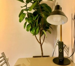 Двухместный номер Deluxe двуспальная кровать в Наш дом