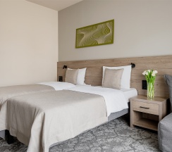 Супериор TWIN в Greengate Hotel&SPA