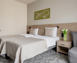 Супериор TWIN в GreenGate Hotel&SPA