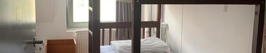 Птичка двухъярусная с окном в Петя и волк