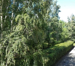 Квартира в Апартаменты на ул. Республики, 213