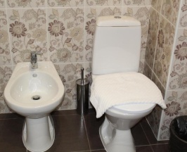 2-комнатный номер люкс с 1 двуспальной кроватью в Ясенки