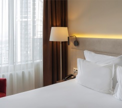 Business Double в Gorskiy city hotel