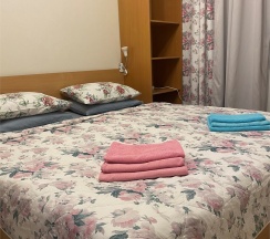 Двухместный номер с 1 двуспальной кроватью в Чижик-Пыжик