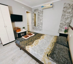 2-местный 1-комнатный номер стандарт эконом с 1 двуспальной кроватью в Гравитация