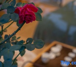 Двухместный номер Standard двуспальная кровать в Begonia Garden Inn