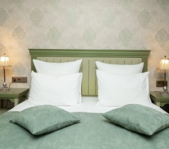 Номер делюкс для двух в Губернский