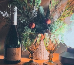 Сфера с балконом и камином в Клевер