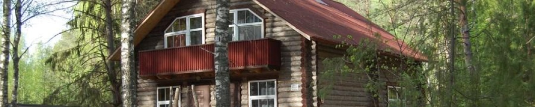 Апартаменты стандарт в Русская изба 2 (с пансионом) в Ягодная деревушка
