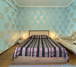 Двухместный номер Первая категория Стандартный двуспальная кровать в Гостиница