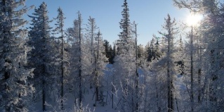 Уралец: Отель Гора Белая